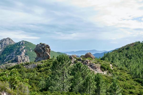 La Corse : île de culture et cosmopolite !